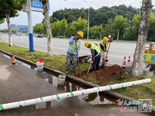 景德鎮市政公用集團西河路人行道改造工程完工 圖
